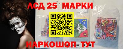 шишки Абакан