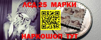 шишки Абакан