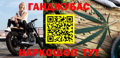 шишки Абакан