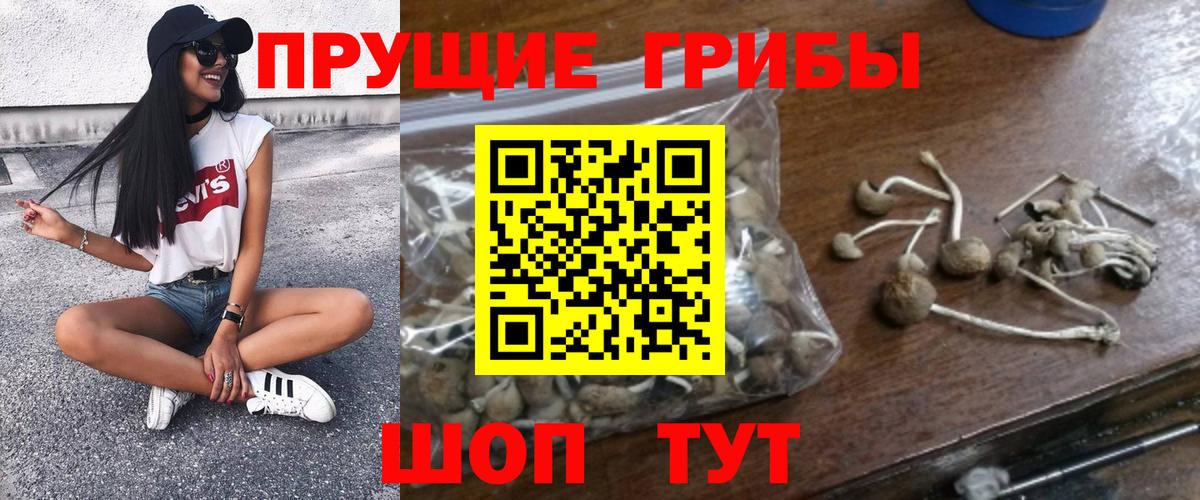 Алатырь  Галлюциногенные грибы мицелий  Псилоцибиновые грибы прущие грибы  Вход с VPN 