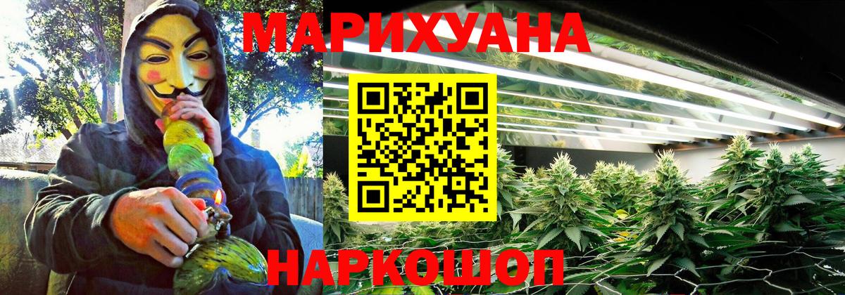 Бошки марихуана сатива Алатырь